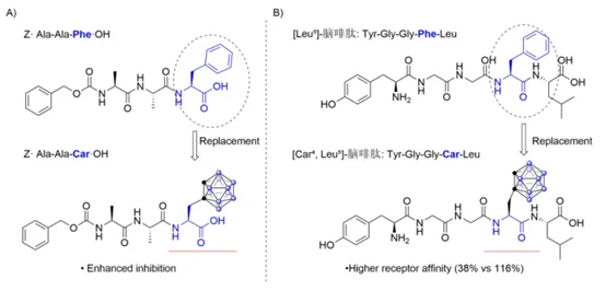 The application of L-carborane-alternative-phenylalanine in peptide compounds The application of L-carborane-alternative-phenylalanine in peptide compounds